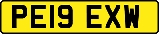 PE19EXW