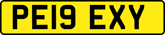 PE19EXY