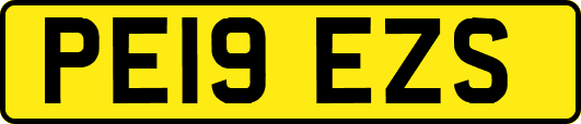 PE19EZS
