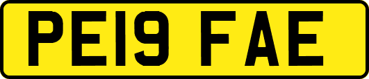 PE19FAE