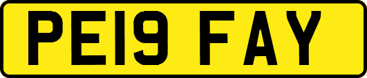 PE19FAY