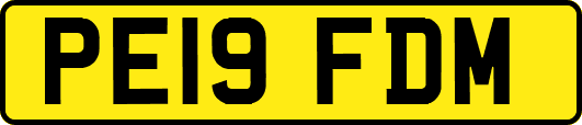 PE19FDM