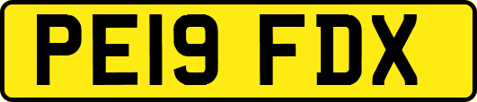PE19FDX