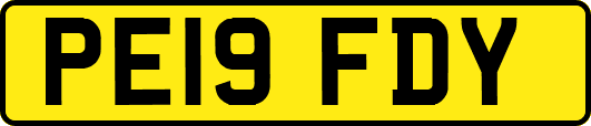 PE19FDY