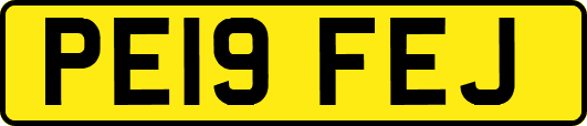 PE19FEJ