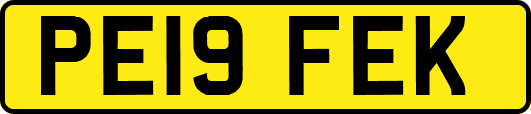 PE19FEK