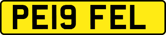PE19FEL