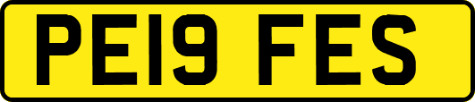 PE19FES