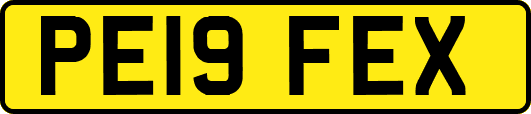 PE19FEX
