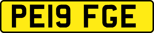 PE19FGE