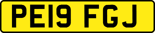 PE19FGJ