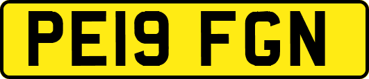 PE19FGN