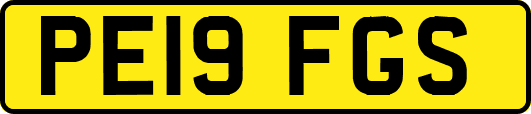 PE19FGS