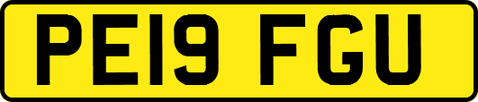 PE19FGU
