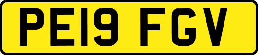 PE19FGV