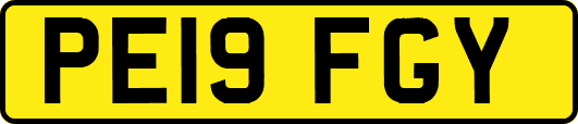 PE19FGY