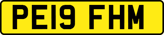 PE19FHM
