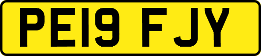 PE19FJY