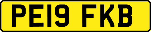PE19FKB