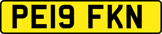 PE19FKN