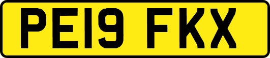 PE19FKX