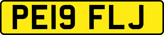 PE19FLJ