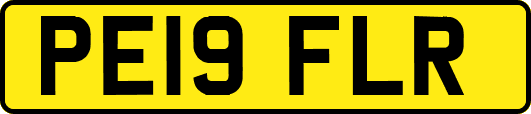PE19FLR