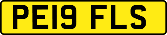 PE19FLS