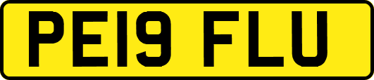 PE19FLU
