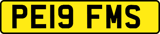 PE19FMS