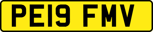 PE19FMV