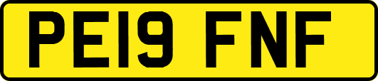 PE19FNF