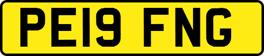 PE19FNG
