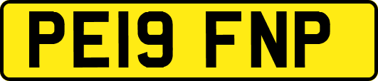 PE19FNP