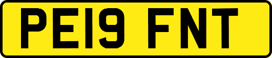 PE19FNT