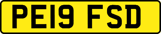 PE19FSD