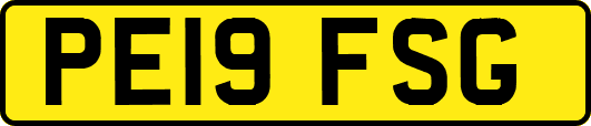 PE19FSG
