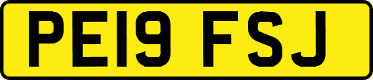 PE19FSJ