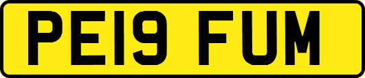 PE19FUM