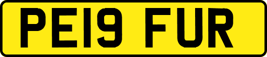 PE19FUR