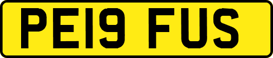 PE19FUS