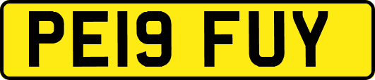 PE19FUY