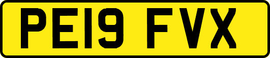 PE19FVX