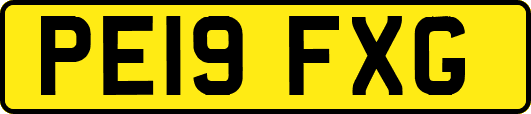PE19FXG