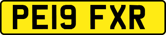 PE19FXR