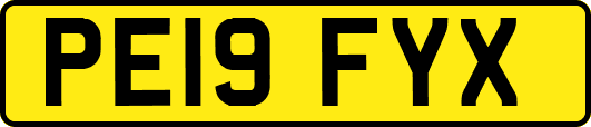 PE19FYX
