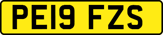 PE19FZS