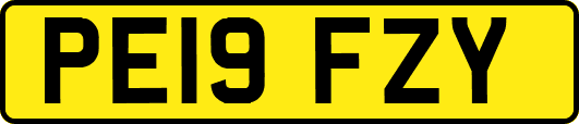 PE19FZY