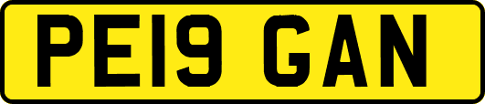 PE19GAN