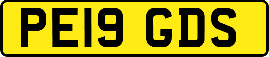 PE19GDS